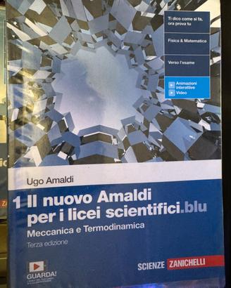 Il nuovo Amaldi per i licei scientifici.blu 1