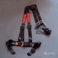 Cinture di sicurezza MR da 2” a 4 punti