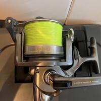 Coppia mulinelli Surfcasting DAIWA Emblem 5000