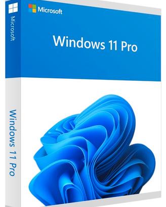 Microsoft Windows 11 Pro digitale REUSED
