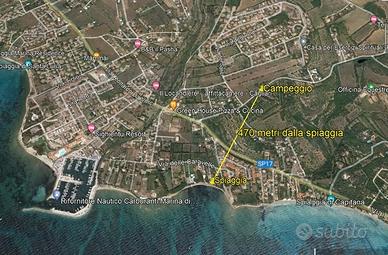 Campeggio su 4.5 ettari vista mare