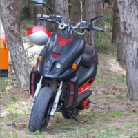 Malaguti Phantom f12