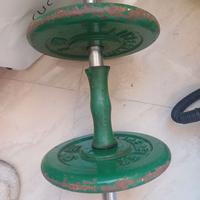 Peso con dischi 5 kg