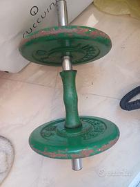Peso con dischi 5 kg
