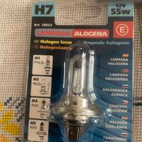 Lampadine H7