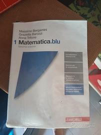 libro matematica 