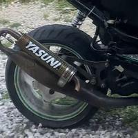 Marmitta Yasuni minarelli orrizzontale