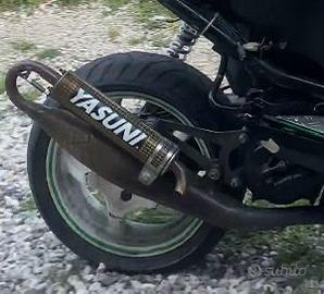 Marmitta Yasuni minarelli orrizzontale