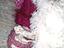 Immagine 5