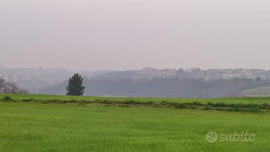 Terreno Edificabile Vista Mare a 1,5 km da Termoli
