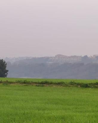 Terreno Edificabile Vista Mare a 1,5 km da Termoli