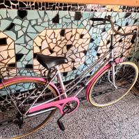 Bicicletta tenuta bene, catena ridotta