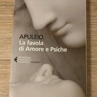 La favola di Amore e Psiche, Apuleio libro