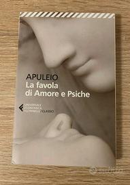 La favola di Amore e Psiche, Apuleio libro