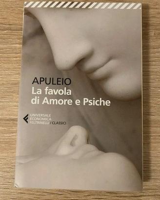 La favola di Amore e Psiche, Apuleio libro