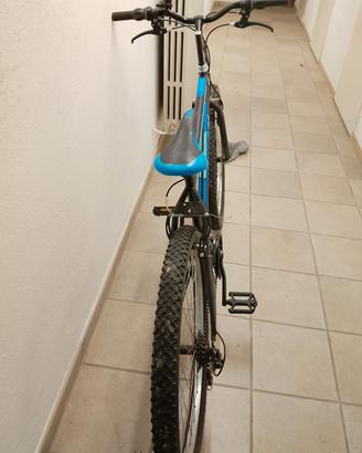 bici montabaik 