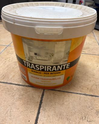 Pittura lavabile 5 litri