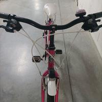 Bici da ragazza