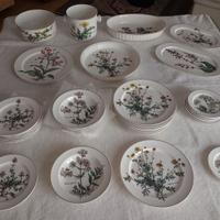 Piatti in procellana Villeroy e Bosch botanica