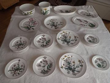 Piatti in procellana Villeroy e Bosch botanica