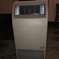 Climatizzatore deumidificatore e ionizzazione