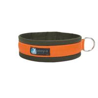 Collare Fun Anny-X tg 3 e tg 4