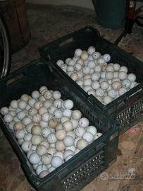 palline da golf varie - varie centinaia