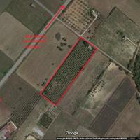 Terreno agricolo con Casetta (da ristrutturare)