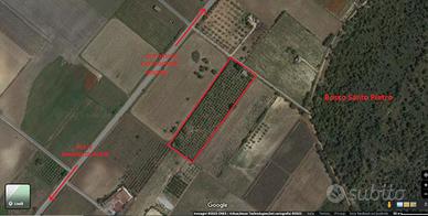 Terreno agricolo con Casetta (da ristrutturare)