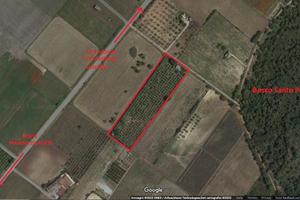 Terreno agricolo con Casetta (da ristrutturare)