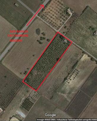 Terreno agricolo con Casetta (da ristrutturare)