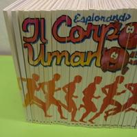 Esplorando il corpo umano - collezione completa 30