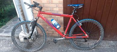 Mountain bike Learco Guerra 