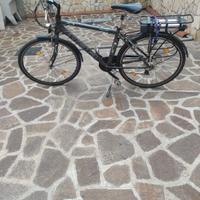 bici elettrica 
