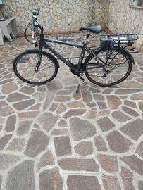 bici elettrica 