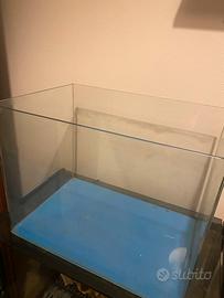 Acquario per pesci