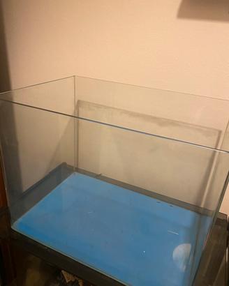 Acquario per pesci