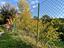 Immagine 26