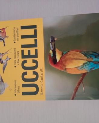 uccelli giunti