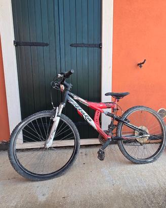 SET 6 Biciclette - Varie Tipologie
