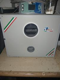 incubatrice pappagalli