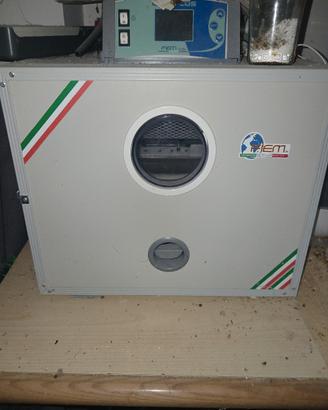 incubatrice pappagalli