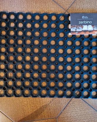 Zerbino esterno gomma antiscivolo Domino Comart