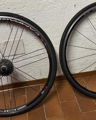 Campagnolo Zonda + Cassetta 11v + Copertoncin