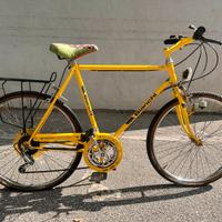 Mountain bike Bianchi City, comoda e resistente.