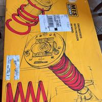 Assetto a ghiere regolabile