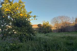 Terreno edificabile a Senorbì zona centralissima