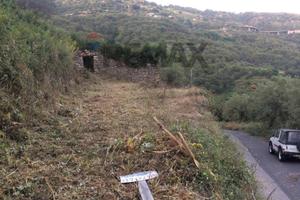 Terreno - Gallodoro