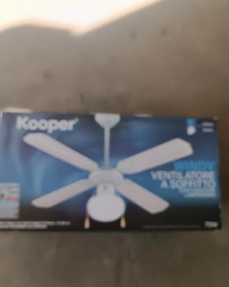 ventilatore e luce soffitto 