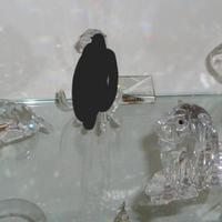 swarowski collezione